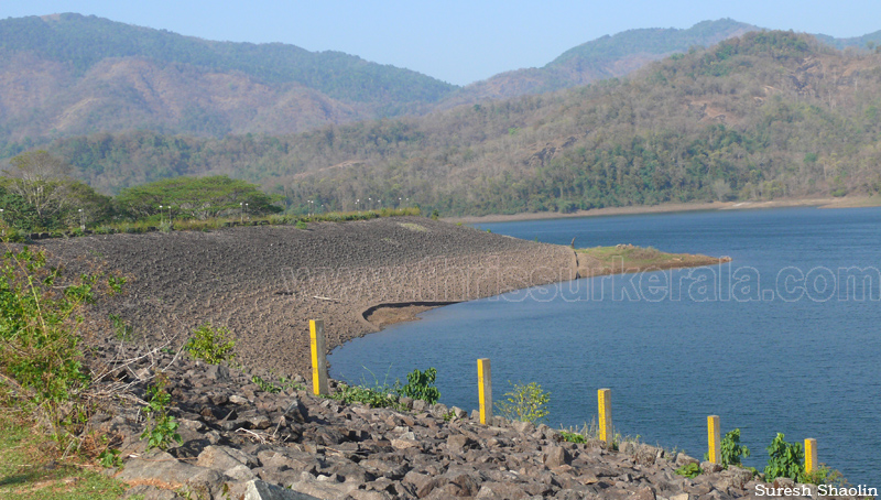 chimmini-dam-thrissur (10)